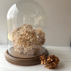 Vintage Large Cloche