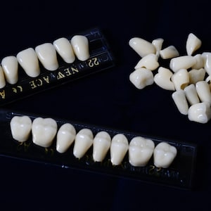 Fifteen Buck Bag of Fourteen Teeth  SHIPPING INCLUDED