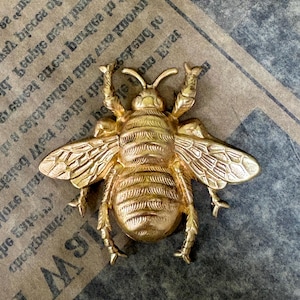 May include: A gold-colored bee-shaped brooch. The brooch has detailed wings, legs, and body segments. The bee is positioned on a textured, vintage-style background with faded text.