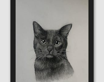 Custom Charcoal Pet Portrait - Hand Drawn Cat from Photo