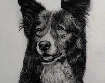 Custom Charcoal Pet Portrait - Hand Drawn Dog from Photo