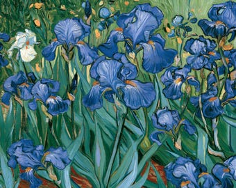 以下が含まれることがあります： 鮮やかな青いアイリスが密集した油絵。質感のある花びらと長く細い緑の葉が特徴的です。青い花々の中に白いアイリスが一本混ざっており、背景には緑の葉が描かれています。