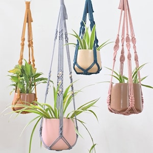 May include: Four macrame plant hangers in mustard yellow, grey, dark blue, and dusty pink, suspended from a wooden rod by metal hooks. Each hanger holds a ceramic pot containing a green plant, with the grey hanger featuring wooden beads.