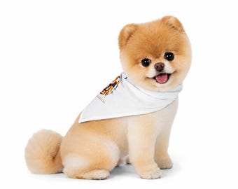 Pomeranian-Hundehalstuch mit Kunstwerk | Farbblock-Pomeranian-Print
