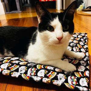 May include: A rectangular pet mat featuring a black background with a repeating pattern of white cat faces wearing colorful rainbow-tinted glasses and accessories. The mat is made of fabric and has a stitched border along the edges of the rectangular shape.