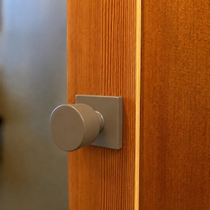 Stone Moss Door Knob Set | Modern Organic Interior Hardware (Passage)