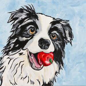 Border Collie Fine Art Print, &quot;Apple of My Eye&quot;