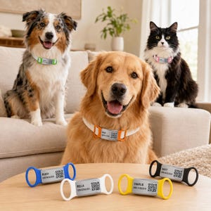 Targhetta per cani in silicone con codice QR, targhetta identificativa silenziosa e personalizzata per animali domestici, targhetta scorrevole impermeabile con incisione del codice QR, targhetta personalizzata per cani, targhetta intelligente per animali domestici