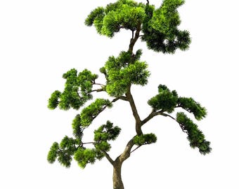 Artificial Bonsai Tree, 5 FT Faux Plant, Real Touch Greenery, Zen Decor