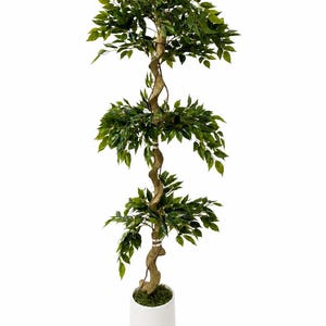 Pode incluir: Uma árvore de ficus artificial alta com um tronco retorcido em espiral, apresentando três níveis distintos de folhas verdes exuberantes. A planta está num vaso cilíndrico branco simples, preenchido com musgo verde na base.