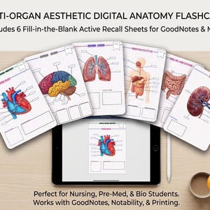 Human Anatomy Diagram Worksheets PDF,Unlabelled Active recall Organ Flashcards for Goodnotes,Pre-Medical And Nursing Student Study Pack