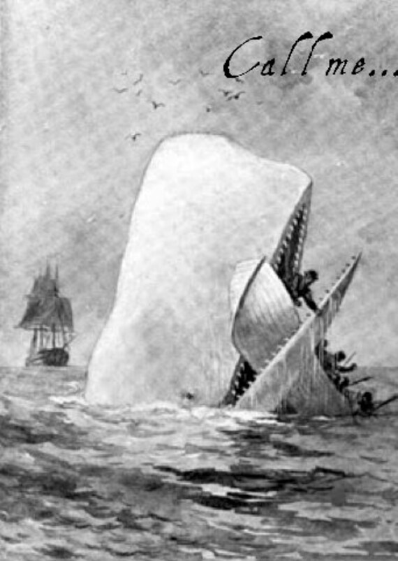 Moby dick ishmael age operations pics bras