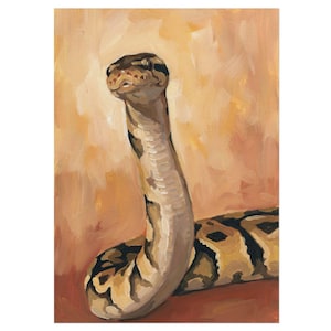Konsttryck med kungspyton, 5x7 reptilposter i gouachestil, herpetologigåva