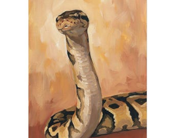 Ball Python Art Print, 5x7 Gouache Style Reptile Poster, Herpetology Gift