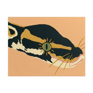 May include: A graphic illustration of a snake head against a peach background. The snake features black, cream, and mustard yellow markings with a green eye surrounded by a sunburst pattern and thin gold lines representing whiskers on the snout.