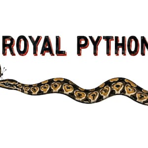 Kaffeetasse mit Königspython | Geschenk für Königspython-Liebhaber | Keramiktasse für Reptilienhalter und Herpetologen Bild 2