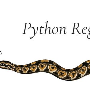 May include: A digital illustration of a Python Regius snake with a brown, black, and tan patterned body. A yellow, black, and orange butterfly rests on the snake's nose. The text Python Regius is printed in black above the snake's head.