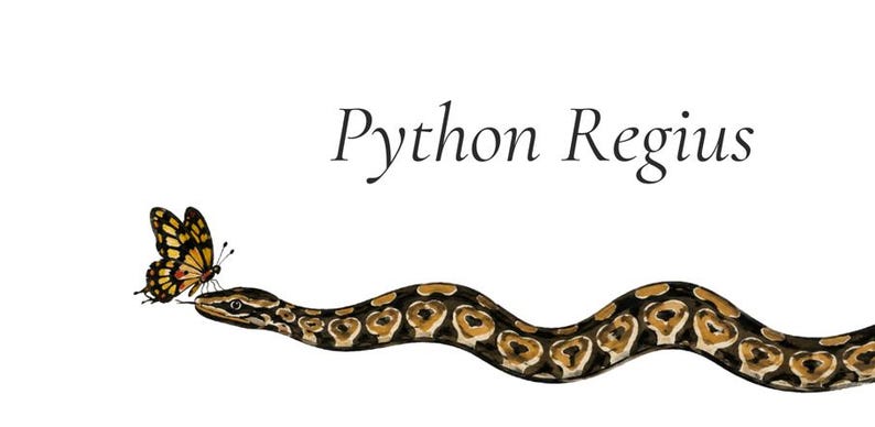 May include: A digital illustration of a Python Regius snake with a brown, black, and tan patterned body. A yellow, black, and orange butterfly rests on the snake's nose. The text Python Regius is printed in black above the snake's head.