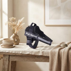 May include: A black pet harness featuring a prominent rectangular patch with the white text Pet Name printed on the side. The harness includes adjustable straps, a sturdy plastic buckle, a metal D-ring attachment point, and reflective grey trim.
