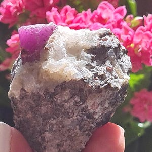 Puede incluir: Un espécimen mineral en bruto que presenta un cristal de color magenta vibrante incrustado en una matriz de cuarzo blanco y roca gris oscura texturizada. La piedra muestra una formación natural irregular con colores contrastantes y texturas cristalinas.