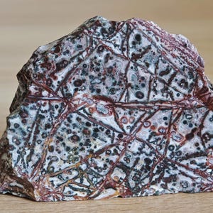 May include: A polished slab of orbicular jasper featuring a complex pattern of dark red, black, and grey circular inclusions intersected by a network of thin, light-coloured veins that create a fractured, geometric appearance across the surface.