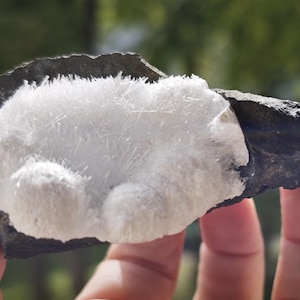 Peut inclure: Un spécimen minéral brut présentant un amas de cristaux blancs délicats en forme d'aiguilles, poussant sur une matrice rocheuse sombre, déchiquetée et de couleur ardoise. La formation cristalline a une texture fibreuse et rayonnante.