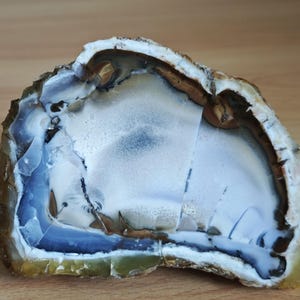 Könnte beinhalten: Eine polierte Achat-Scheibe mit einem durchscheinenden weißen und hellblauen Zentrum, umgeben von konzentrischen Bändern in Dunkelbraun, Beige und Creme. Der äußere Rand des Steins ist rau und strukturiert mit erdigen Grün- und Brauntönen.