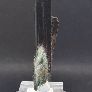 May include: A vertical black tourmaline crystal specimen featuring a prominent, elongated, striated column with a cluster of fine, fibrous, light green mineral inclusions attached to the lower front section, mounted on a clear square base.