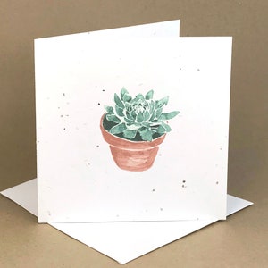 Carte ensemencée écologique à planter / Plante grasse en pot