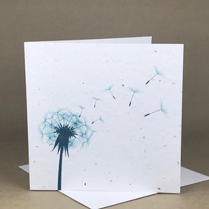 Semences écologiques à planter en carde / Pissenlit bleu noirâtre