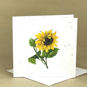 Carta seminata eco-friendly piantabile / Bella carta di #2