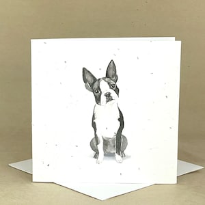 Carte à graines écologique à planter / Terrier de Boston