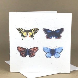 Carta seminata eco-friendly piantabile / Quattro farfalle
