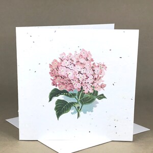 Carte ensemencée écoresponsable plantable / Hortensia rose