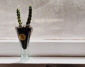 Topo Chico Upside Down Windowsill Planter