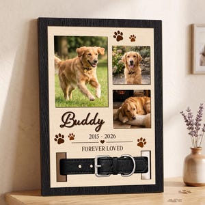 Könnte beinhalten: Ein rechteckiger Gedenkrahmen aus Holz mit dunklem Rand und heller Mitte. Er enthält drei Fotos eines Golden Retrievers, den Namen Buddy, die Jahreszahlen 2015-2026, den Text FOREVER LOVED, Pfotenabdrücke und ein schwarzes Hundehalsband.