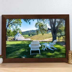 Relaxing Lawn Chairs at a Vineyard Photography Print