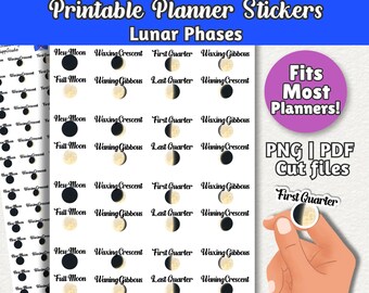 Moon Phases Planner Stickers | Lunar Phases for Weekly & Monthly Planners | Printable Moon Tracking Stickers