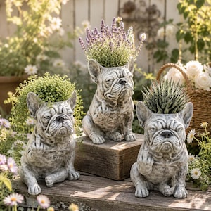 Grumpy French Bulldog Flower Pot, Resin Planter Figurine, Sassy Bulldog Decor for Succulents, Herbs and Small Plants