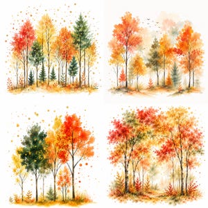 Könnte beinhalten: Ein Set aus vier Aquarellillustrationen, die herbstliche Waldszenen darstellen. Jedes Bild zeigt Laubbäume mit leuchtend rotem, orangefarbenem und gelbem Laub, vermischt mit immergrünen Kiefern vor einem hellen Hintergrund mit Farbspritzern.