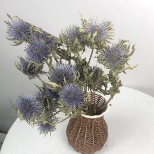 Pode incluir: Um buquê de flores de cardo azul seco com cabeças esféricas espinhosas e caules verde-opacos, disposto num pequeno vaso de vime castanho entrançado com rebordo branco, acompanhado por um porta-copos circular de madeira.