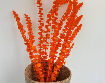 Tallos de eucalipto teñidos y preservados: para diarios y arte floral.