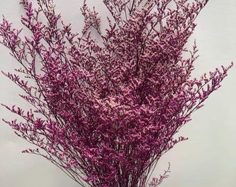 Love Grass – Perfect for Resin Coaster Crafting and Botanical Displays.