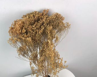 Ramo de paniculata seca: Boda rústica, decoración bohemia para el hogar (40-45 cm)