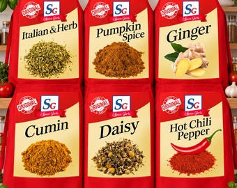 Spice Girl Halloween Apron, Food Seasoning Costume, Thanksgiving Group Apron, Matching Family Costume, Pumpkin Spice Party Gift