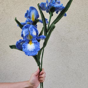 Op de afbeelding: Een boeket van drie gehaakte irissen met levendige blauwe bloemblaadjes met witte en gele centra. De bloemen zijn bevestigd aan lange, slanke groene stelen met puntige groene bladeren, allemaal vervaardigd met gedetailleerd garenstikwerk.
