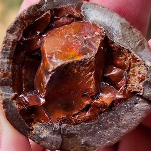 Large Chocolate Opal Crystal: Raw Ethiopian Boulder Opal, 91 CT