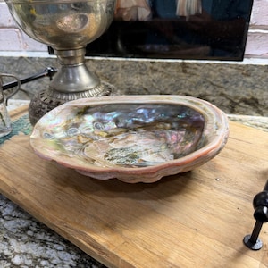 May include: An iridescent abalone shell bowl with a polished, multi-colored interior featuring swirling hues of purple, green, and blue. The exterior of the shell displays a natural, textured, and layered appearance with earthy tones.