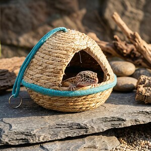 May include: A dome-shaped woven grass hideout for small reptiles, featuring a teal rope trim, a hanging loop with a metal ring, and a wide triangular opening. A spotted leopard gecko is positioned inside the structure, looking outward.