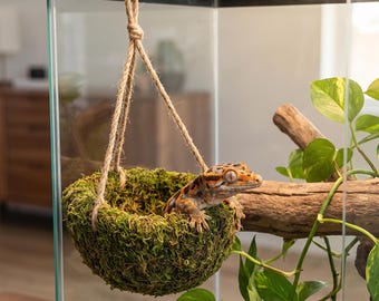 Donut Moss Gecko Climbing Ring, Hanging Reptile Hammock, Crested Gecko Swing Nest, Rope Ladder, Naturalistic Vivarium Decor